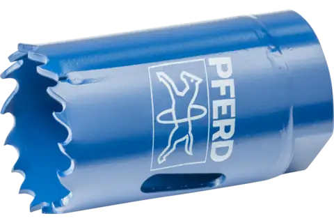 SIERRA DE CALAR PFERD HSS LS 29