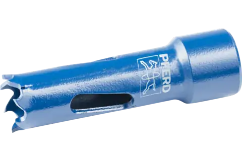 SIERRA DE CALAR PFERD HSS LS 14