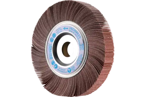 [4007220297179] ABANICO PFERD NUCLEO METAL FR 25050 A80 A50.8